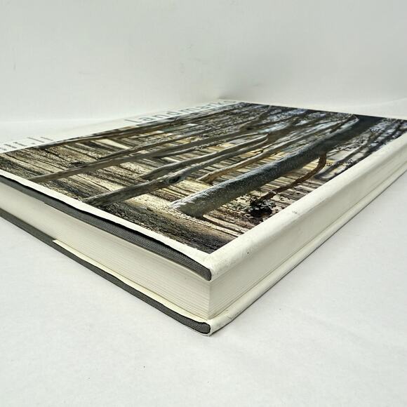 Landmarks Sculpture Commissions for the Stuart Collection Mary Livingstone Beebe - Picture 12 of 14